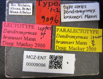 Media type: image;   Entomology 9096 Aspect: labels